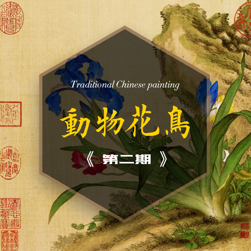 花鸟动物之二