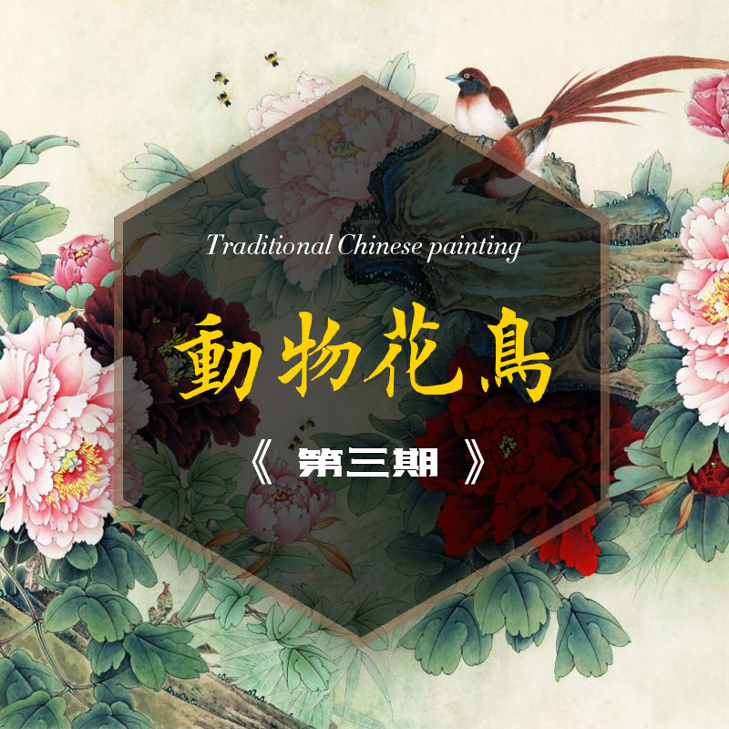 花鸟动物之三