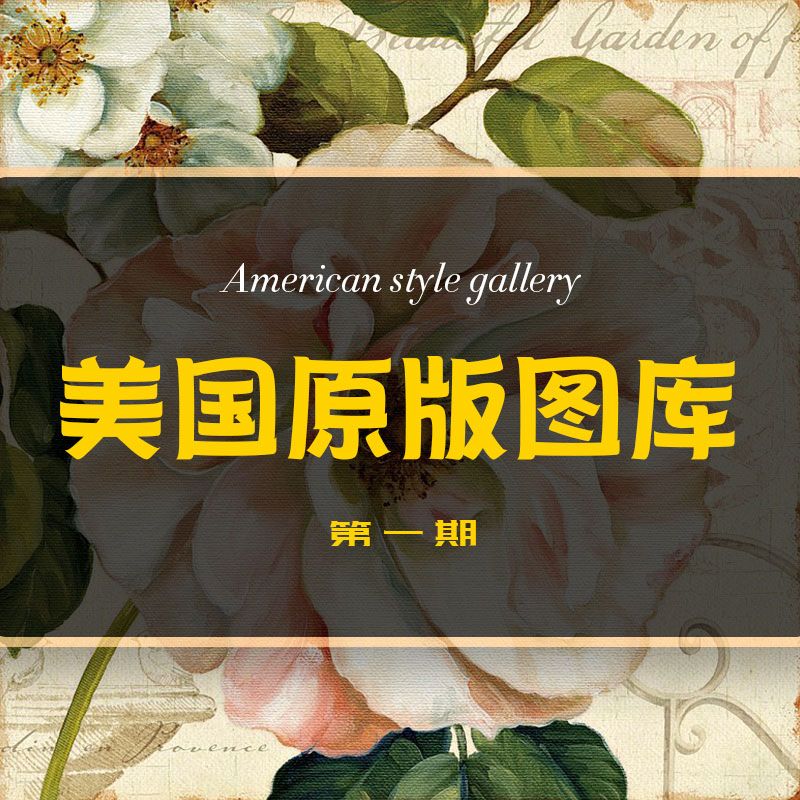 美国原版